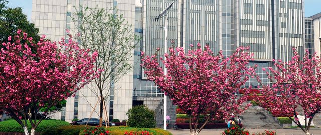 安徽黄山学院拟聘人员公布,毕业来自中科大国科大及韩国多所高校休闲区蓝鸢梦想 - Www.slyday.coM 安徽黄山学院拟聘人员公布,毕业来自中科大国科大及韩国多所高校休闲区蓝鸢梦想 - Www.slyday.coM