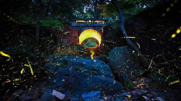 萤影竹窗下松声茅屋头近来心更静不梦世间游