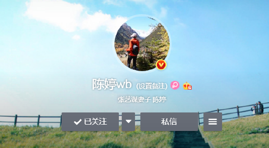 什么情况？陈婷取消“张艺谋妻子”的认证，张艺谋正备战冬残奥会休闲区蓝鸢梦想 - Www.slyday.coM