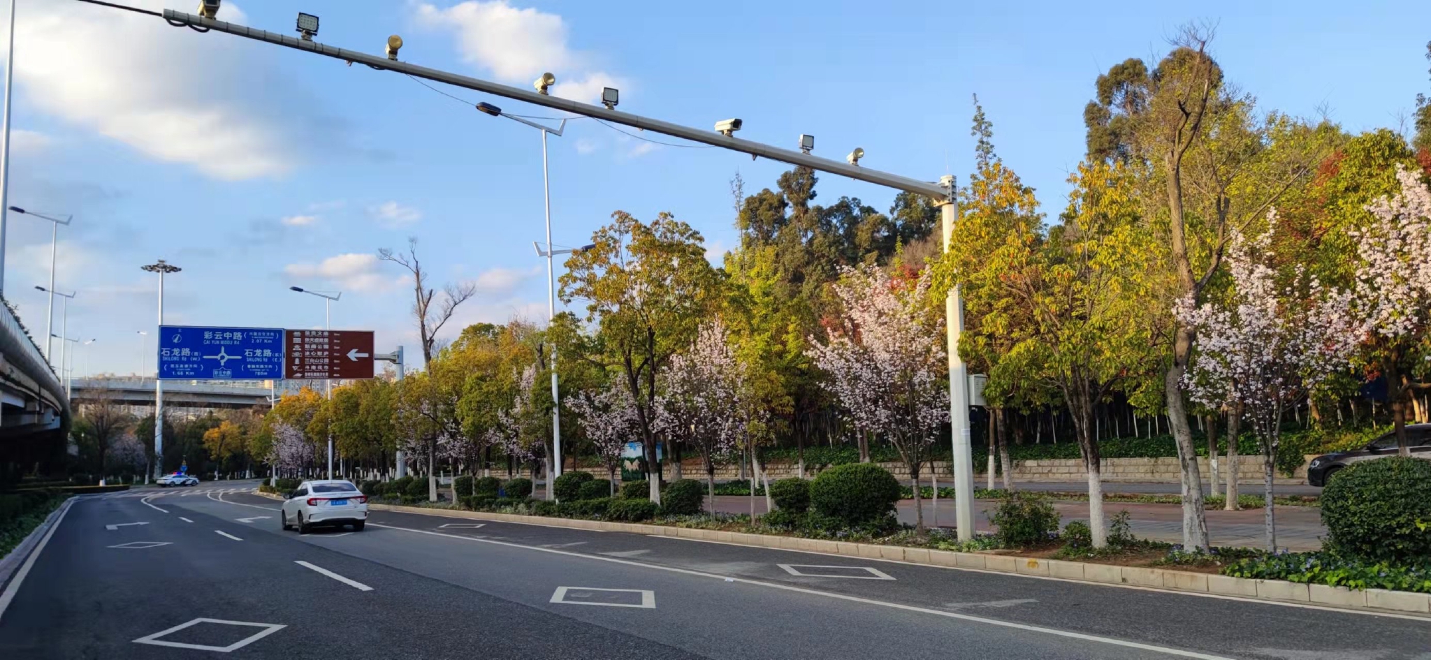 组图洛龙街道的春天