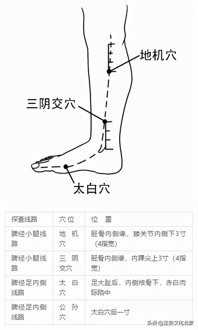 路新宇 | 春季,需重点疏通的经络__财经头条