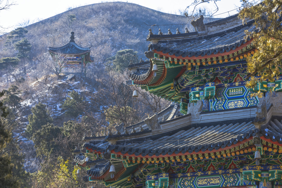 冬日香山限定的小美好