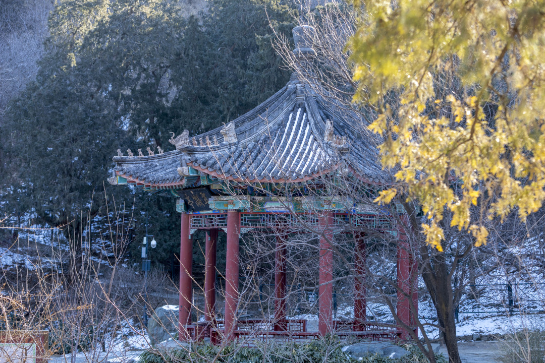 冬日香山限定的小美好