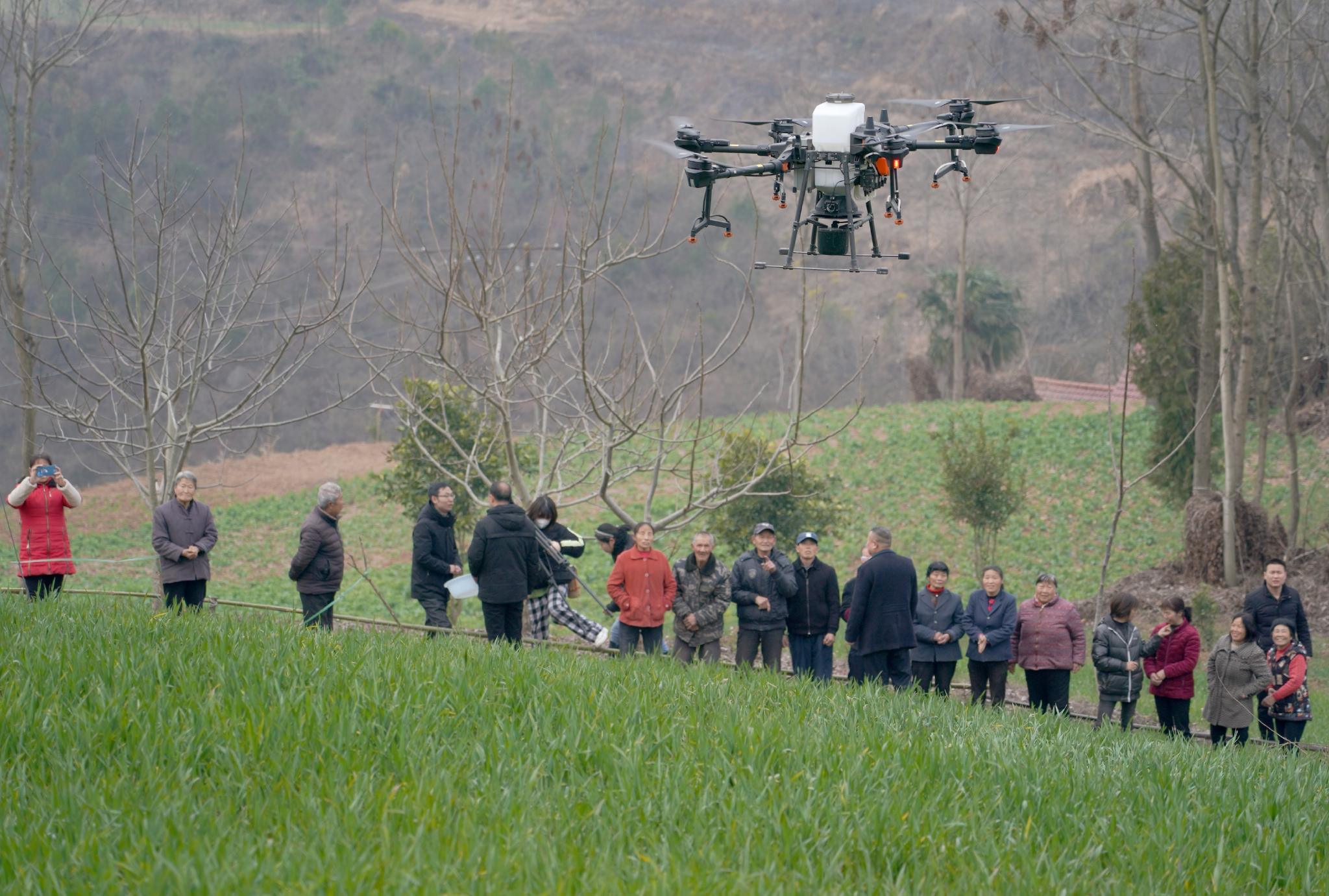 秦巴山区春耕忙|村民|陕西省_新浪新闻