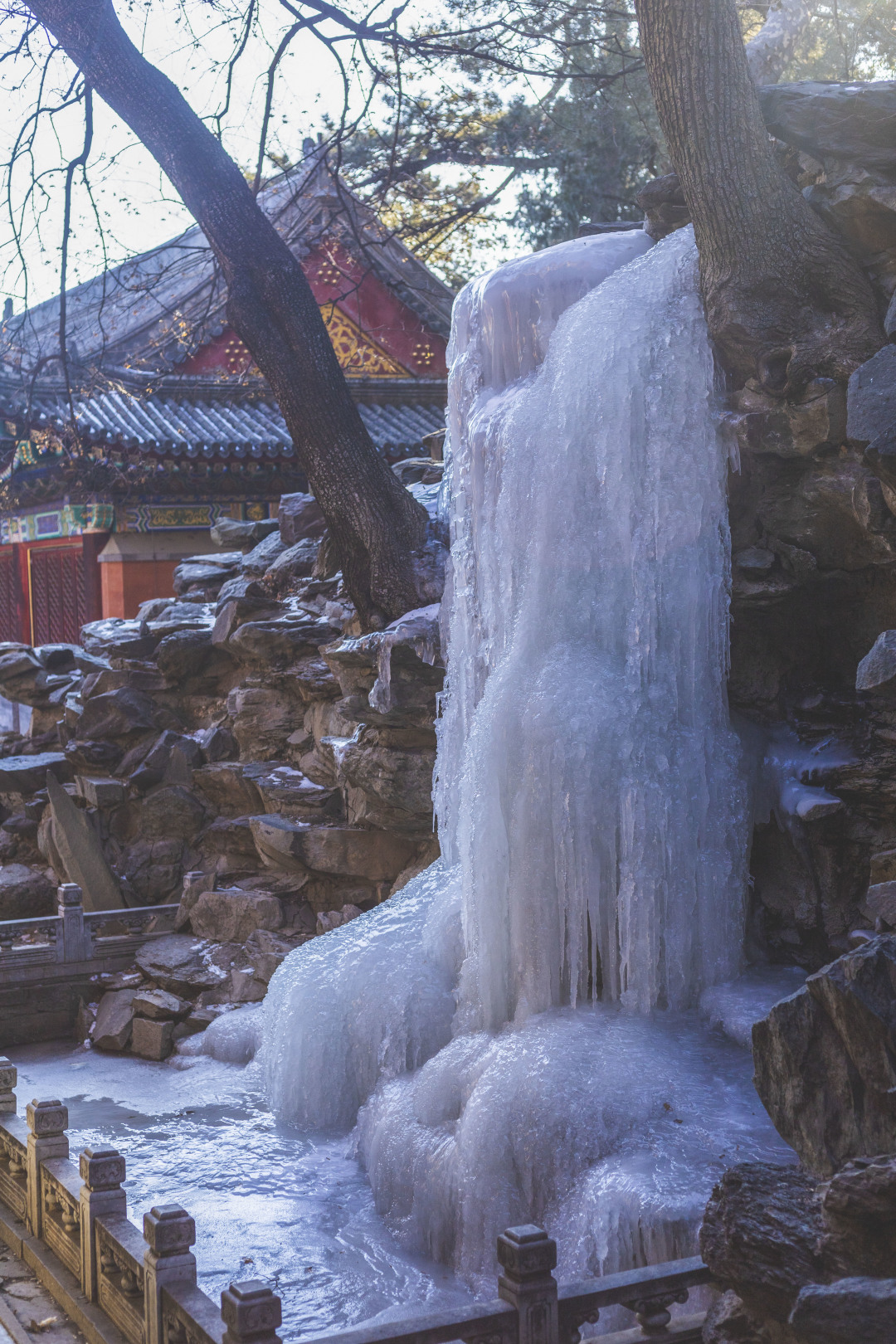 冬日香山限定的小美好