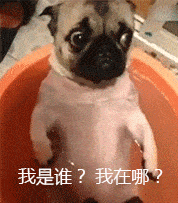 当冰墩墩有了大长腿之后，当时我就破防了！休闲区蓝鸢梦想 - Www.slyday.coM