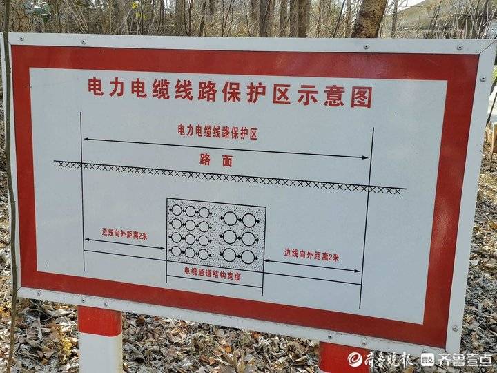 的绿化带里竖立着几块警示牌,上面写着"电力电缆线路保护区示意图",并