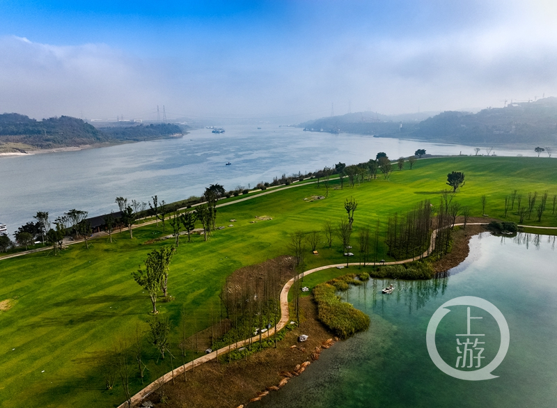 江上明珠 广阳岛花开春意浓|油菜花|重庆市_新浪新闻