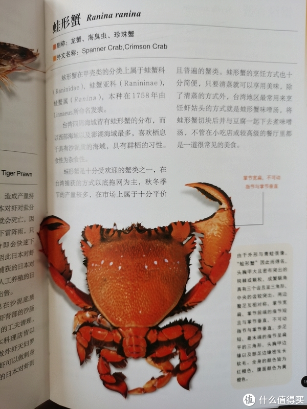 您爱吃鱼吗我不爱吃但是爱看哈内陆菜场看不到的菜市场鱼图鉴