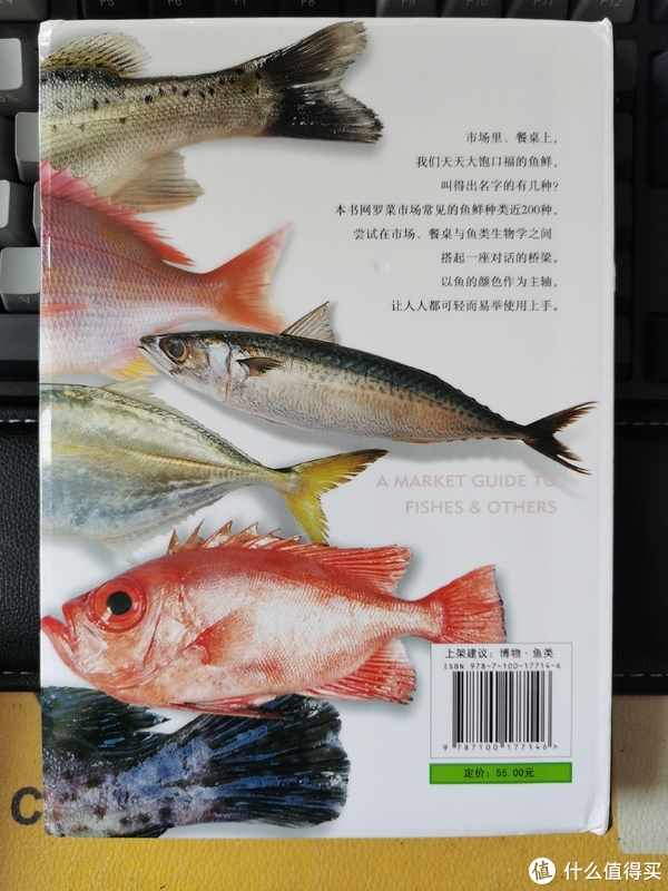 您爱吃鱼吗我不爱吃但是爱看哈内陆菜场看不到的菜市场鱼图鉴