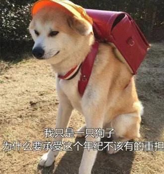 当冰墩墩有了大长腿之后，当时我就破防了！休闲区蓝鸢梦想 - Www.slyday.coM