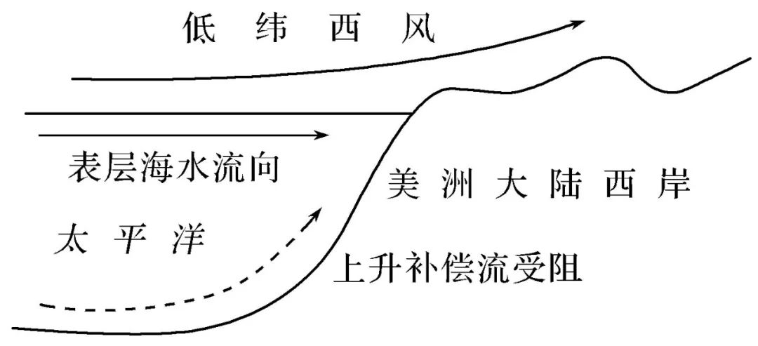 ③对秘鲁寒流和秘鲁渔场的影响:秘鲁寒流补偿上升流减弱,使带到海面的