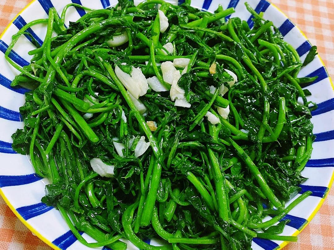 美食家常菜推荐麻辣鸡尖凉拌秋葵清炒西洋菜做法特别简单