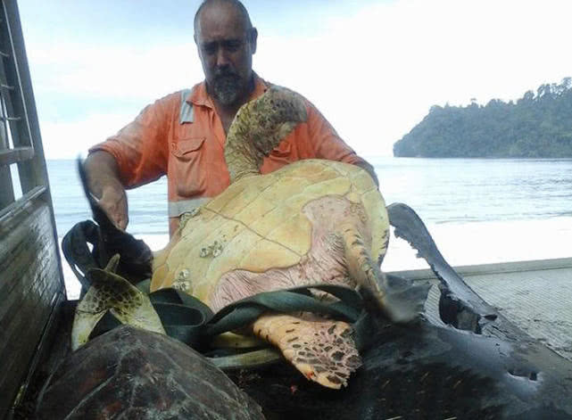 男子受不了别人吃乌龟同情心泛滥买来放生众人表示吃惊