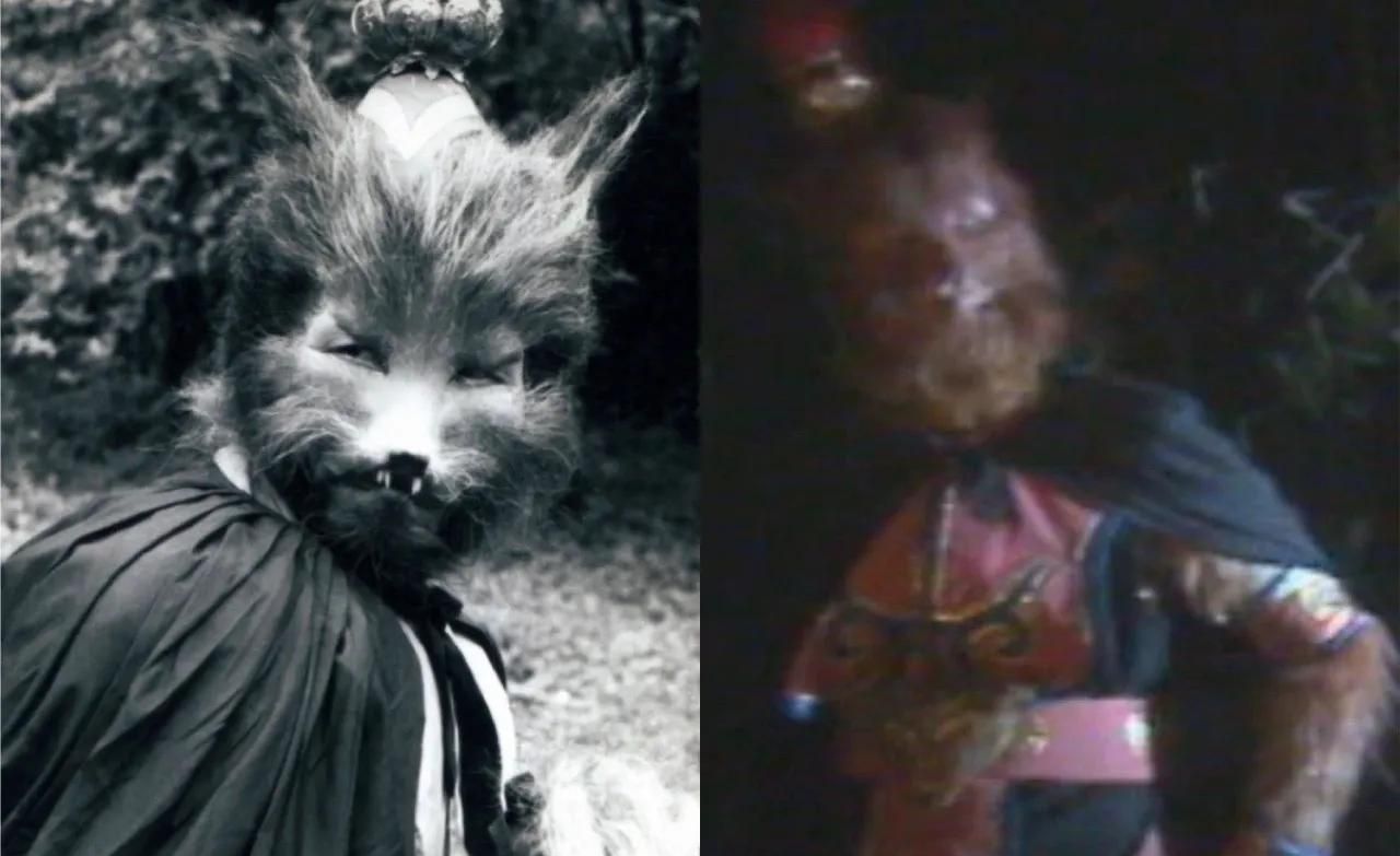 阴险毒辣"黑狐精"但艾金梅仅在第三集《大圣闹天宫》中出现过一次