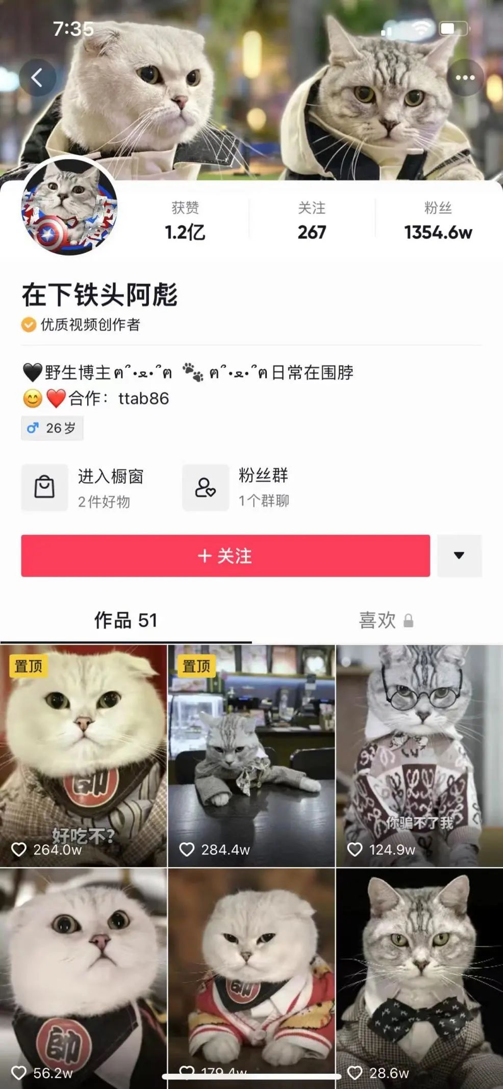 "在下铁头阿彪"出镜的主要人物有两只猫咪(阿彪,猪柳蛋)和它们的女