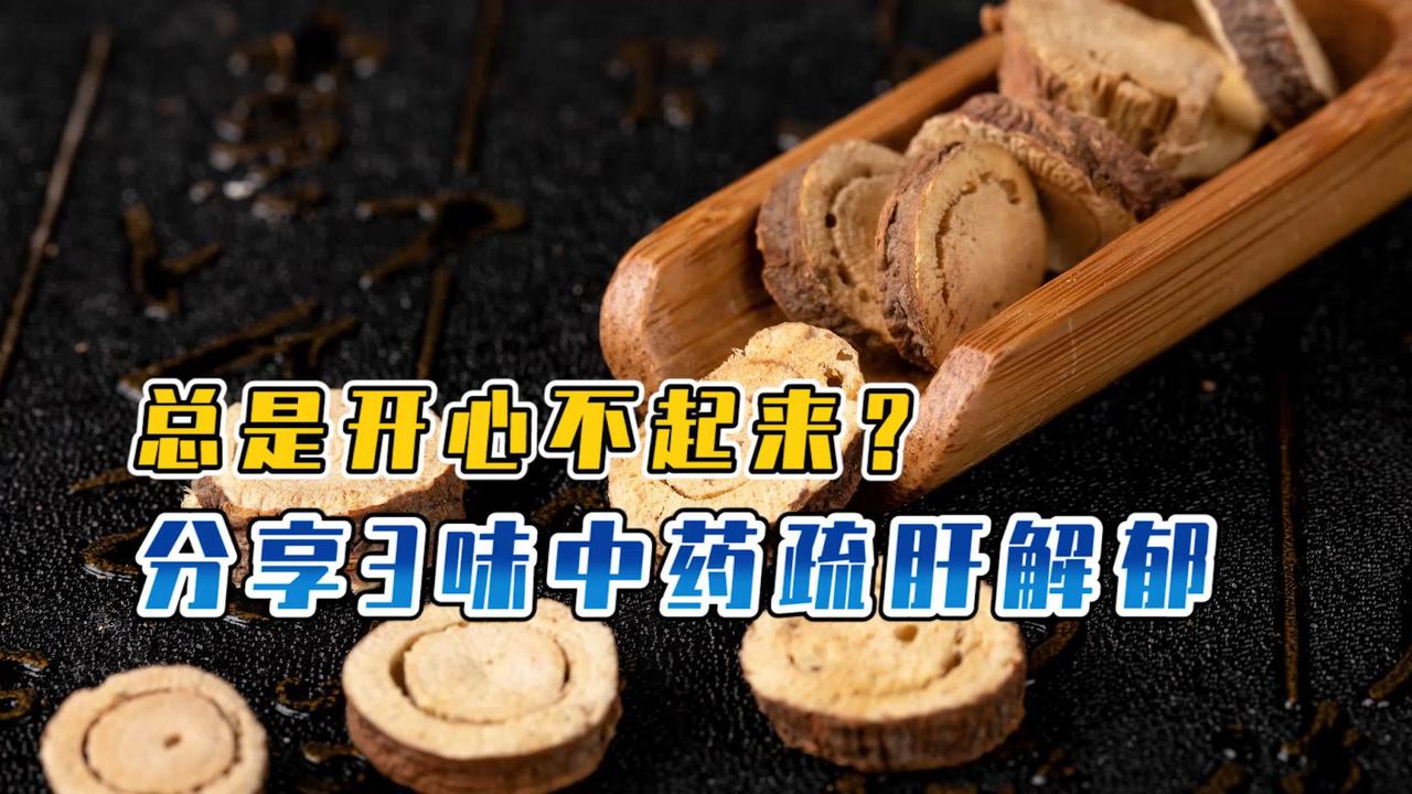 经常郁郁寡欢没精神推荐这3味中药疏肝解郁心情更舒畅