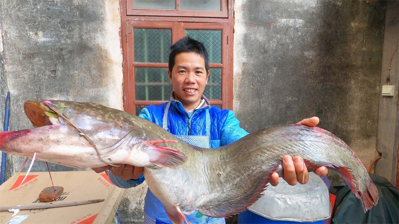小池抓的10斤重鲶鱼王,切开后都是一级食材,做几道菜吃得过瘾