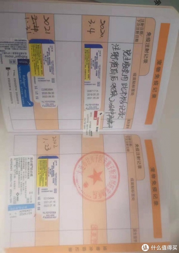 养猫新手必看的11条建议流浪猫领养攻略实用避坑指南亲测好物分享吐血