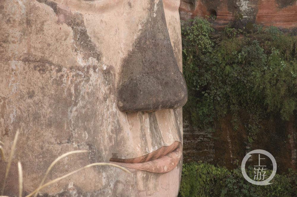 乐山大佛花脸症复发木质鼻子整修3年再次发黑如何治水成保护关键