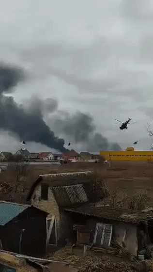 基辅市内，激烈交火！乌克兰总统泽连斯基已离开基辅  ！休闲区蓝鸢梦想 - Www.slyday.coM