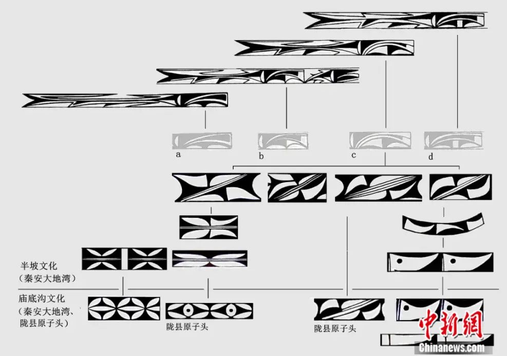 仰韶文化鱼纹演变示意图.受访者供图