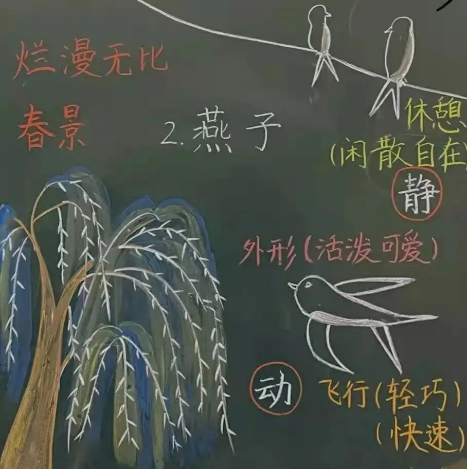 小学语文老师板书绝了，粉笔画惟妙惟肖，网友：学生不想上课都难休闲区蓝鸢梦想 - Www.slyday.coM