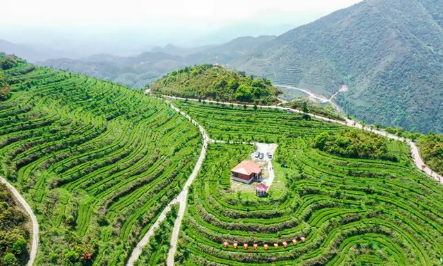 安溪铁观音一号卫星发射升空百强县茶产业走出科技范