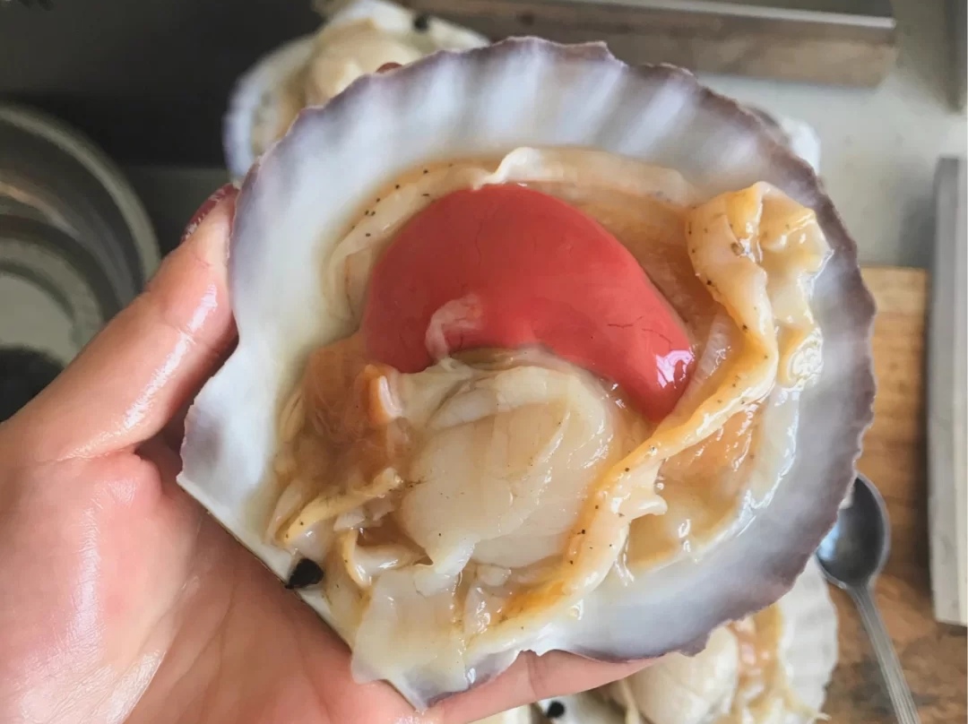 鲜嫩肥美的扇贝肉搭配爽滑q弹的粉丝一口一个吃着满足感爆棚
