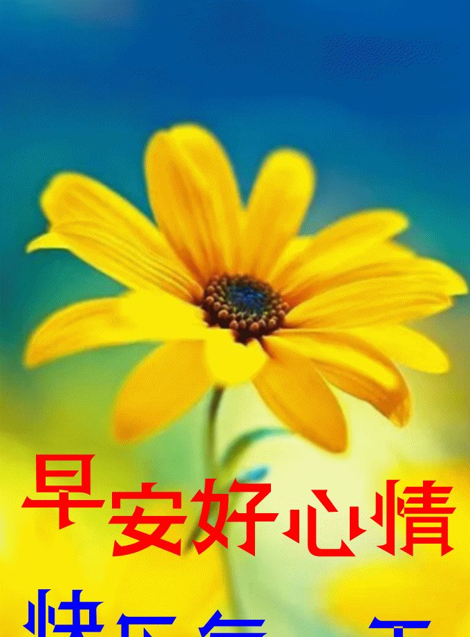 2022最新版漂亮早上好祝福美图问候语,早上好问候语温馨句子|问候语