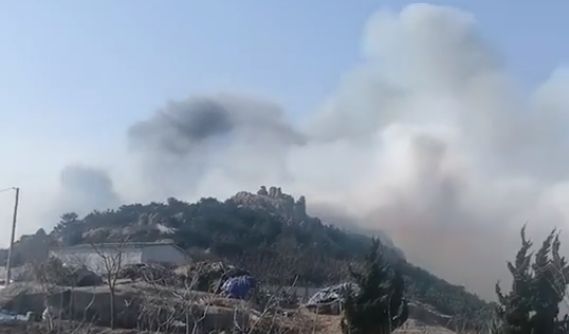 突发！山东青岛一景区附近发生山火，火势蔓延迅速，现场已成火海休闲区蓝鸢梦想 - Www.slyday.coM