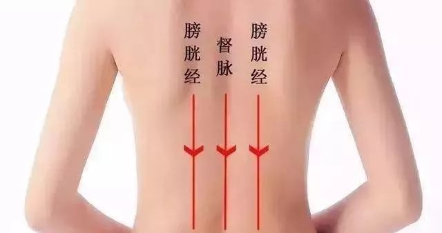 2,脊柱两旁有人体的膀胱经,而人体的五脏六腑在背部膀胱经上均有腧穴