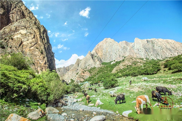 走进夏河白石崖,一处藏区的修行洞,到这里的游客非常少__财经头条