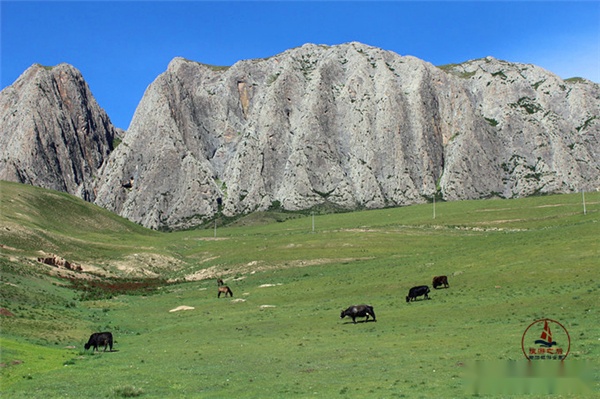 走进夏河白石崖,一处藏区的修行洞,到这里的游客非常少__财经头条