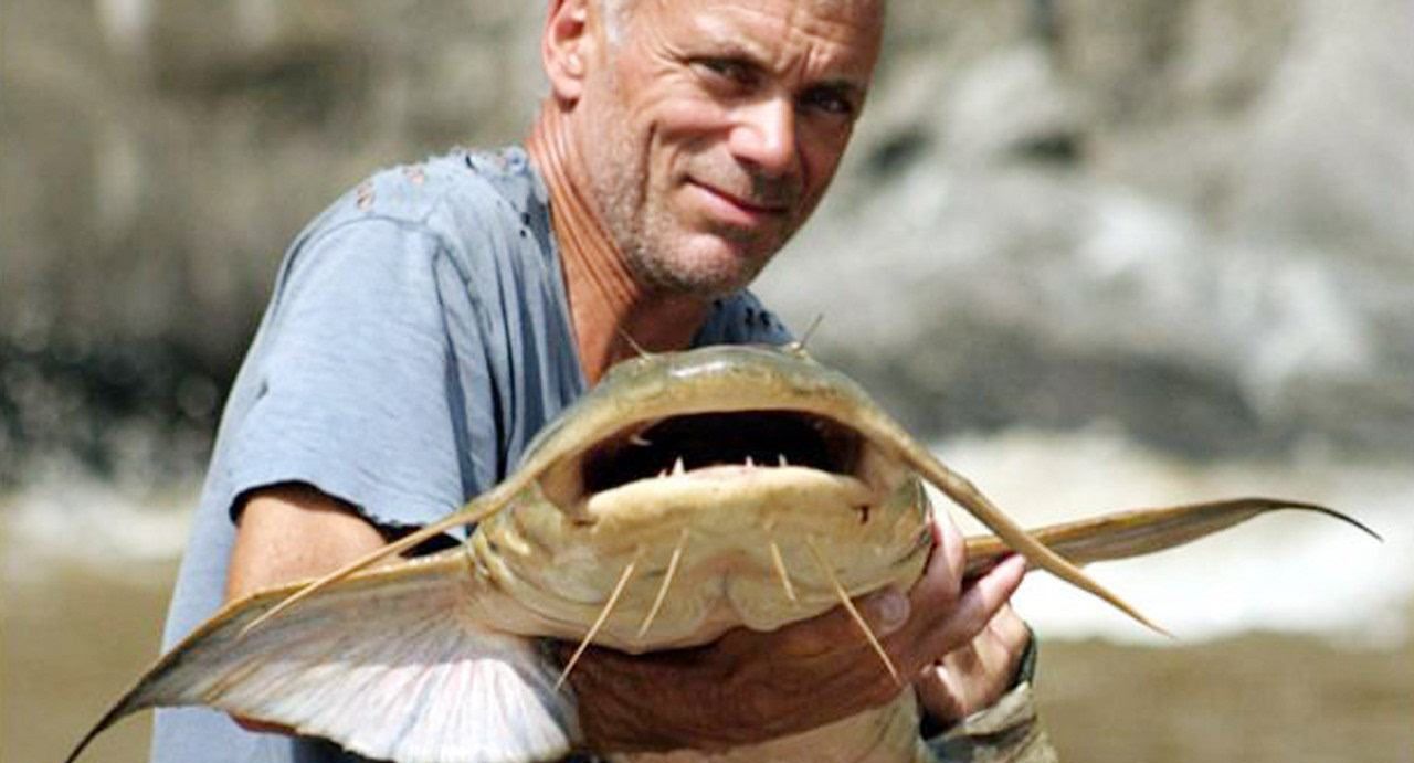 印度食人鲶吃印度人尸体长大的巨型水怪清道夫的表亲