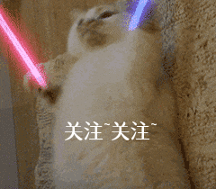 狗狗排泄前为啥会转圈?不懂的人,养狗就太失败了休闲区蓝鸢梦想 - Www.slyday.coM 狗狗排泄前为啥会转圈?不懂的人,养狗就太失败了休闲区蓝鸢梦想 - Www.slyday.coM