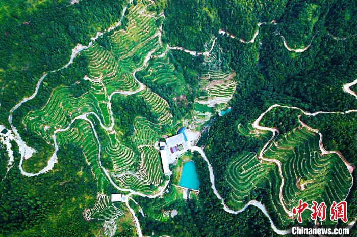 泉州gdp县_2021年泉州各区GDP排名(泉州市历年GDP对比表)