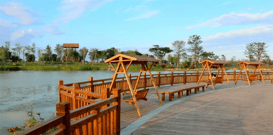 石狮湿地公园观鸟正当时|北面|野生动物|石狮_新浪新闻