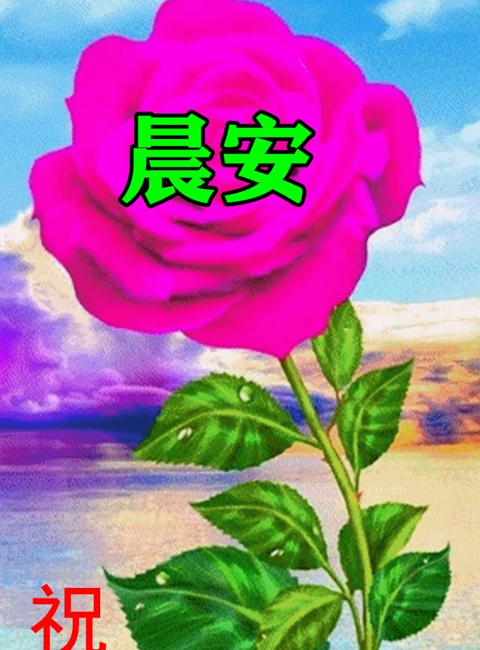 春日清晨漂亮早晨好问候动态表情图片春天早上好说说温馨图片