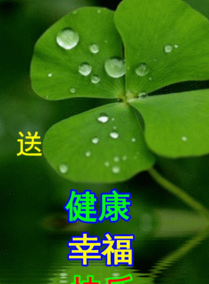 春日清晨漂亮早晨好问候动态表情图片春天早上好说说温馨图片