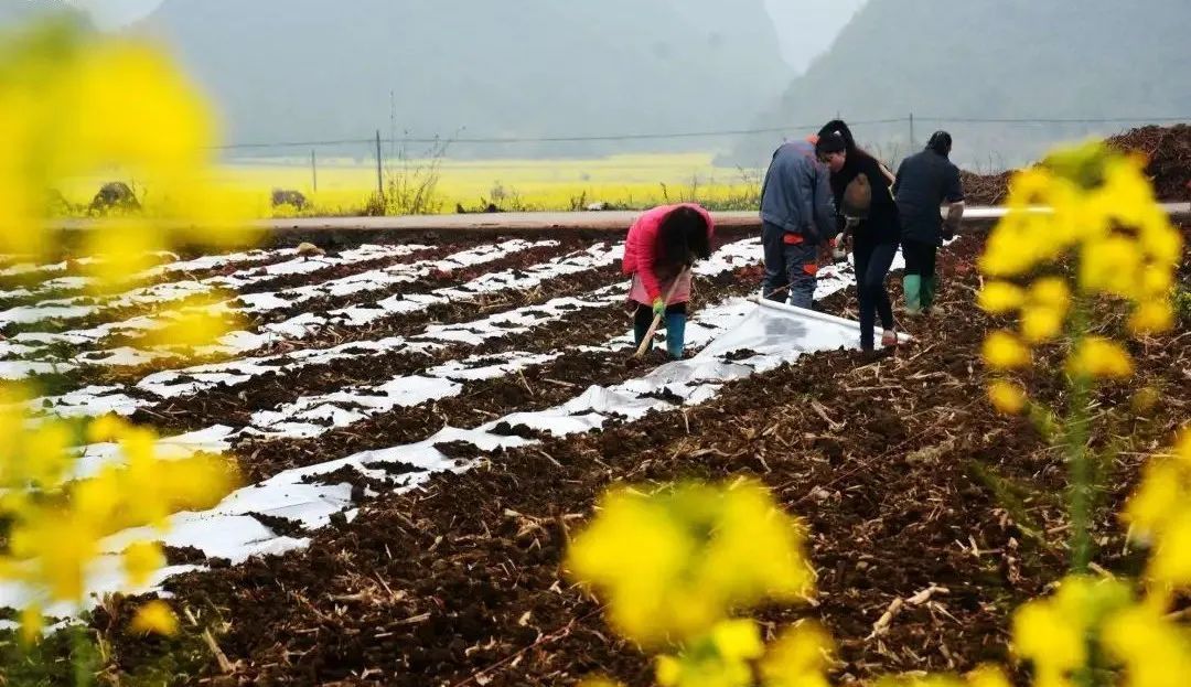 好烦!阴雨天又双叒来了!柳州气温将……休闲区蓝鸢梦想 - Www.slyday.coM 好烦!阴雨天又双叒来了!柳州气温将……休闲区蓝鸢梦想 - Www.slyday.coM