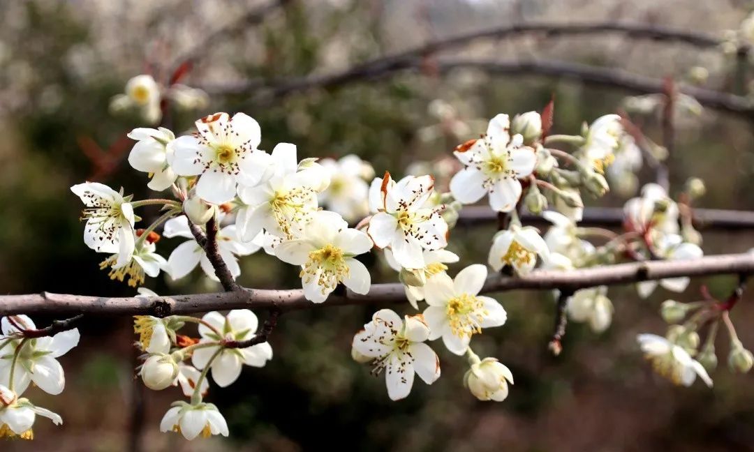 好烦!阴雨天又双叒来了!柳州气温将……休闲区蓝鸢梦想 - Www.slyday.coM 好烦!阴雨天又双叒来了!柳州气温将……休闲区蓝鸢梦想 - Www.slyday.coM