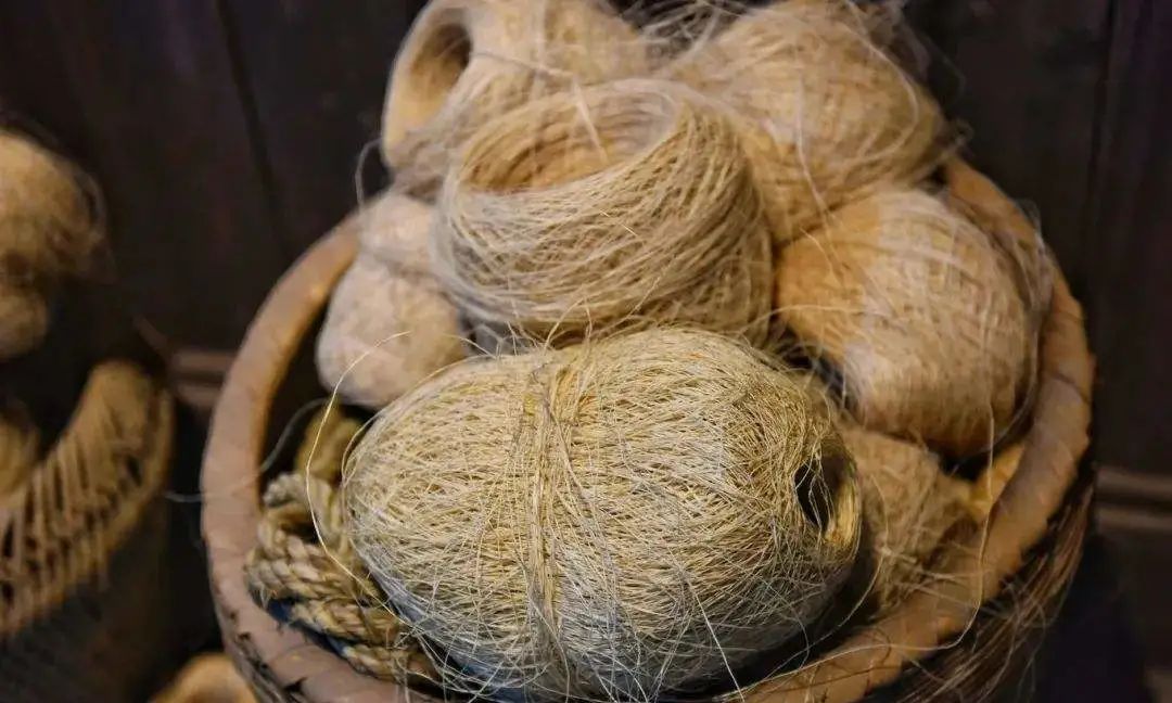 有“中国草”之称,是世界上纤维品质最好的植物,苎麻是啥麻?休闲区蓝鸢梦想 - Www.slyday.coM 有“中国草”之称,是世界上纤维品质最好的植物,苎麻是啥麻?休闲区蓝鸢梦想 - Www.slyday.coM