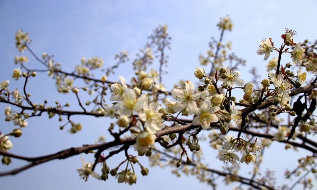 好烦!阴雨天又双叒来了!柳州气温将……休闲区蓝鸢梦想 - Www.slyday.coM 好烦!阴雨天又双叒来了!柳州气温将……休闲区蓝鸢梦想 - Www.slyday.coM