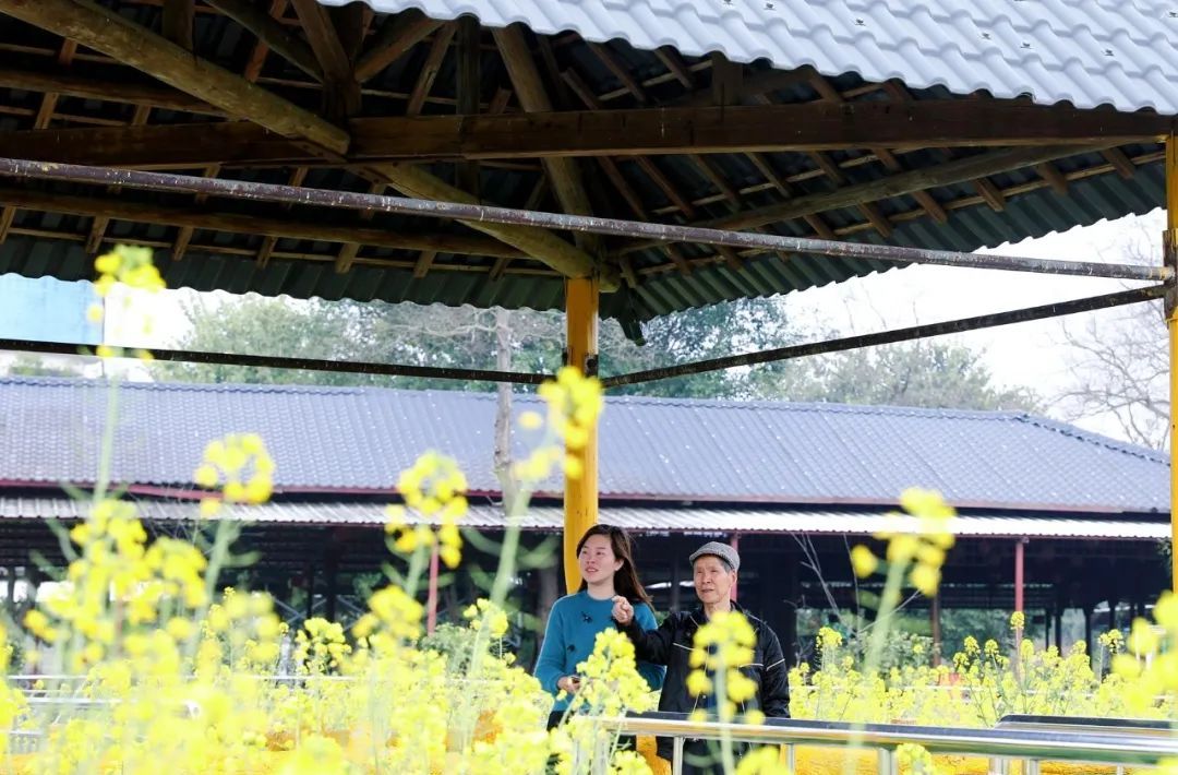 好烦!阴雨天又双叒来了!柳州气温将……休闲区蓝鸢梦想 - Www.slyday.coM 好烦!阴雨天又双叒来了!柳州气温将……休闲区蓝鸢梦想 - Www.slyday.coM