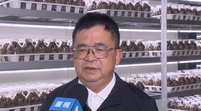 集美企业备耕忙|备耕|集美|种苗_新浪新闻