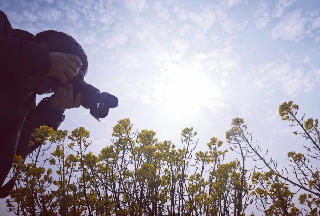 好烦!阴雨天又双叒来了!柳州气温将……休闲区蓝鸢梦想 - Www.slyday.coM 好烦!阴雨天又双叒来了!柳州气温将……休闲区蓝鸢梦想 - Www.slyday.coM