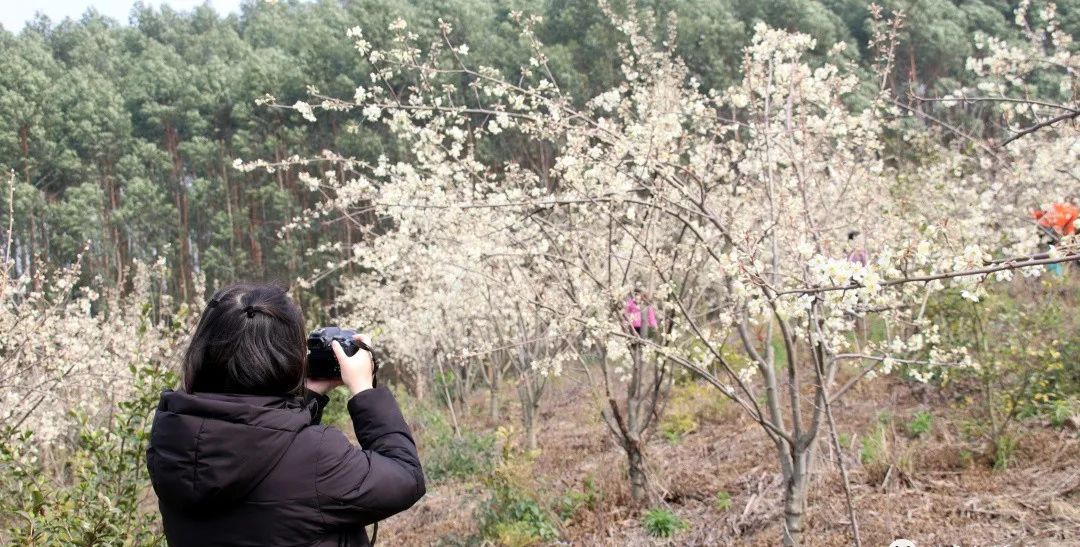 好烦!阴雨天又双叒来了!柳州气温将……休闲区蓝鸢梦想 - Www.slyday.coM 好烦!阴雨天又双叒来了!柳州气温将……休闲区蓝鸢梦想 - Www.slyday.coM
