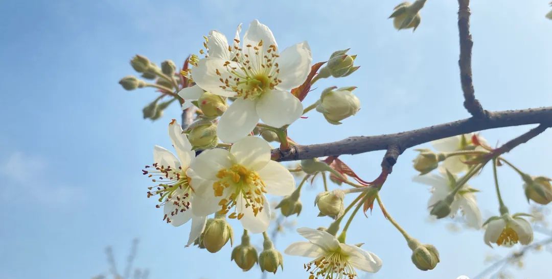 好烦!阴雨天又双叒来了!柳州气温将……休闲区蓝鸢梦想 - Www.slyday.coM 好烦!阴雨天又双叒来了!柳州气温将……休闲区蓝鸢梦想 - Www.slyday.coM