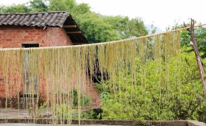 有“中国草”之称,是世界上纤维品质最好的植物,苎麻是啥麻?休闲区蓝鸢梦想 - Www.slyday.coM 有“中国草”之称,是世界上纤维品质最好的植物,苎麻是啥麻?休闲区蓝鸢梦想 - Www.slyday.coM